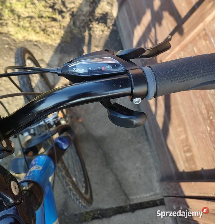 Rower miejski Goodman