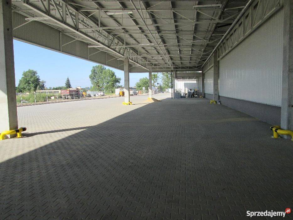 Kostka Brukowa Wszystkie Rodzaje dolnośląskie Wrocław