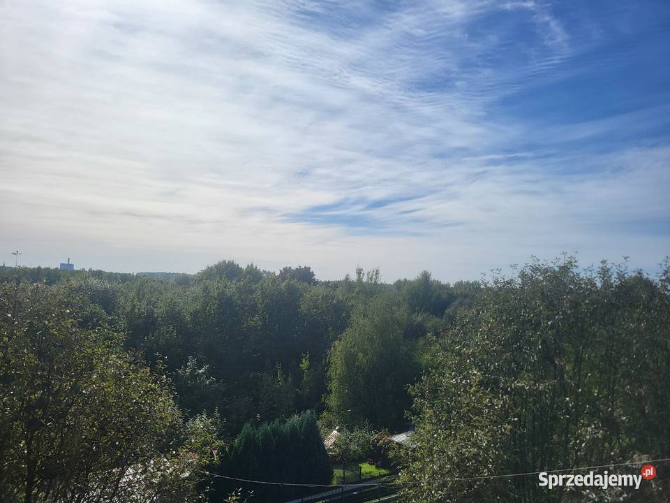 ciepłe jasne z widokiem na las śląskie