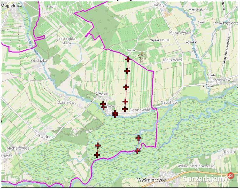 Syndyk sprzeda siedlisko mazowieckie Borowe
