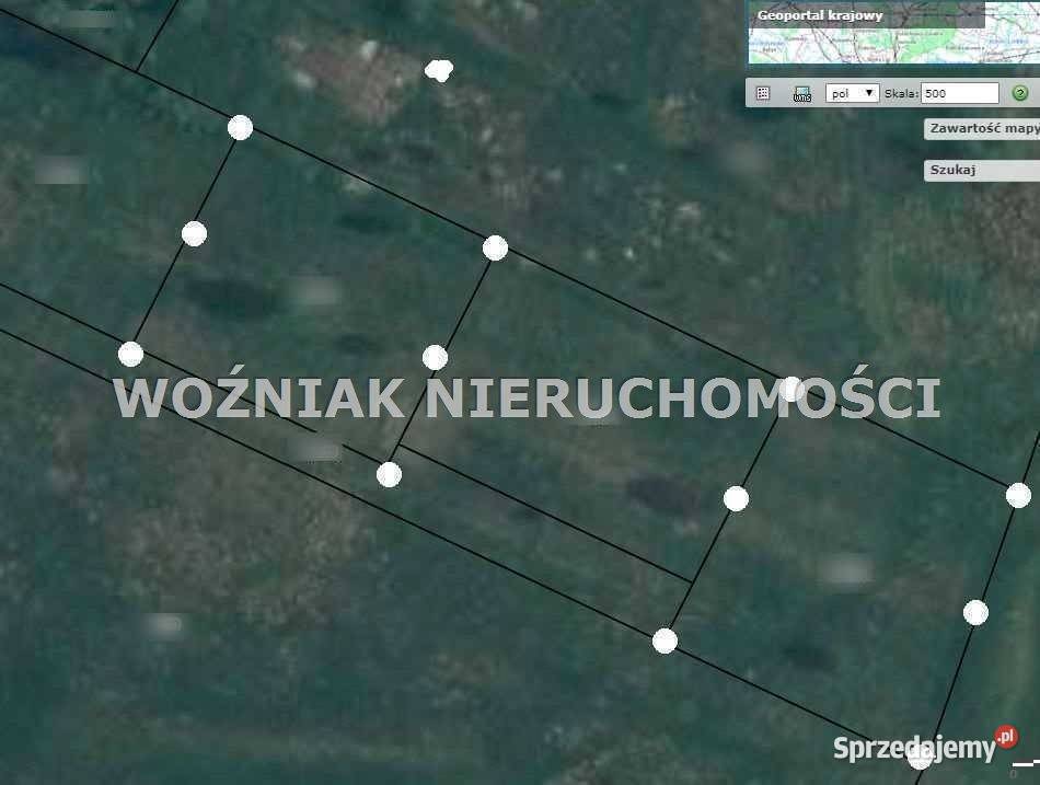 Działka Dębrznik 1137 metrów polna