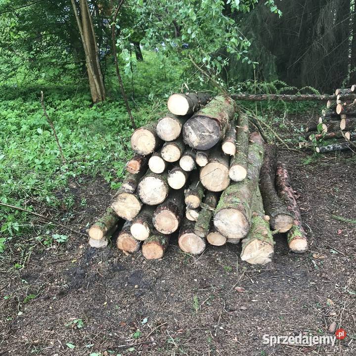 Drewno kominkowe opałowe budulec dł Jesion Dąb Zabłudów sprzedam