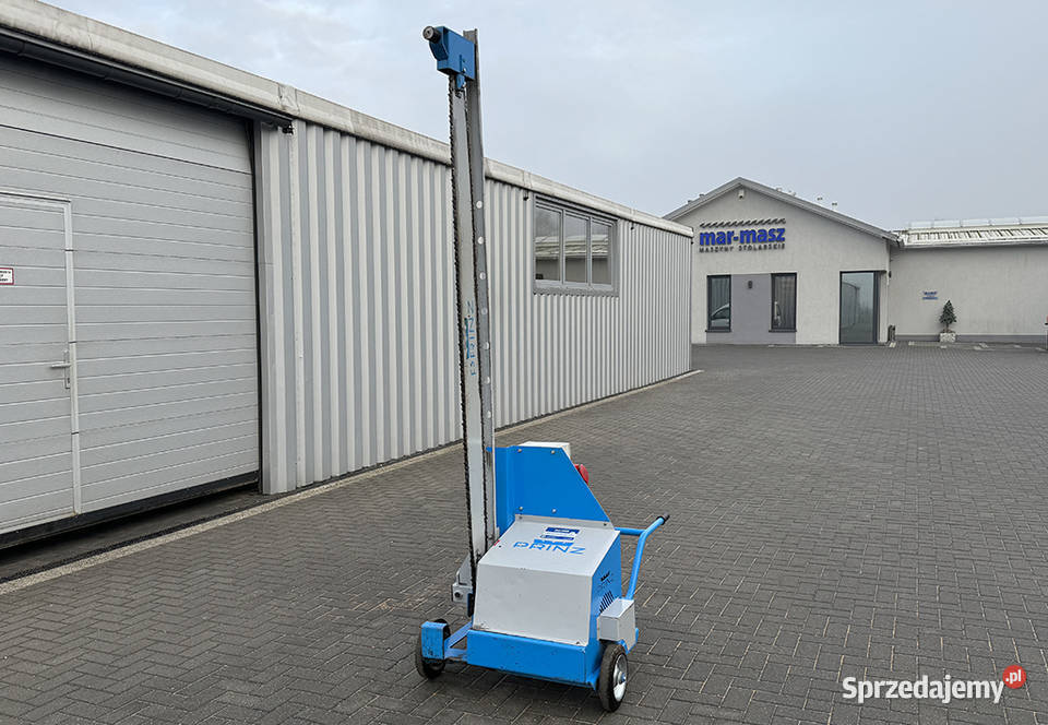 Piła łańcuchowa do kapowania pakietów i drewna Sierakowska Huta