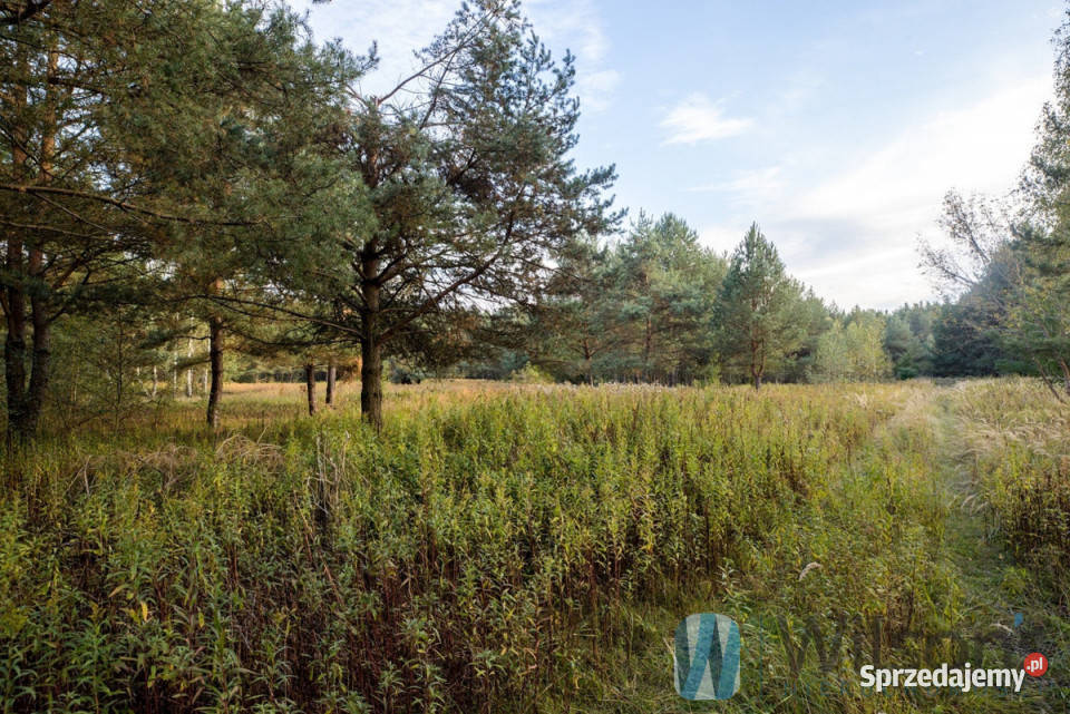 sprzedaży gruntu Czosnów 3000m2 sprzedam