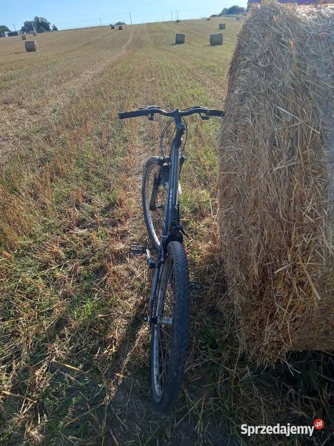 Rower trek Eseries Górskie, MTB