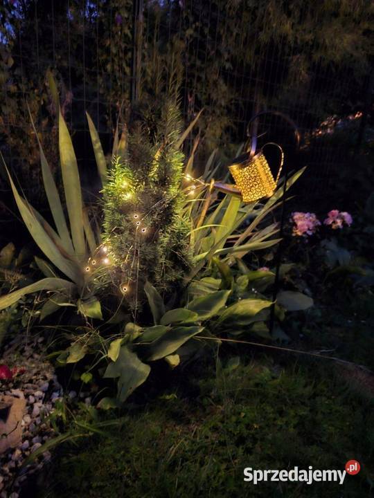 lampa ogródowe konewka małopolskie sprzedam