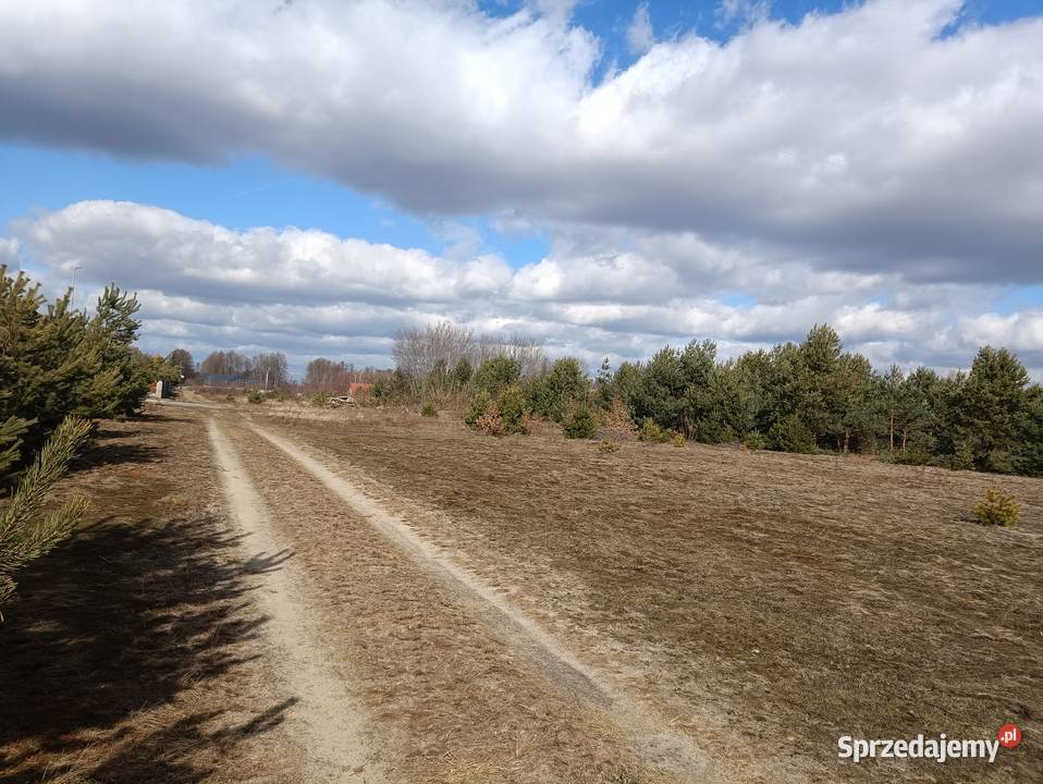 Działka budowlana Chinów