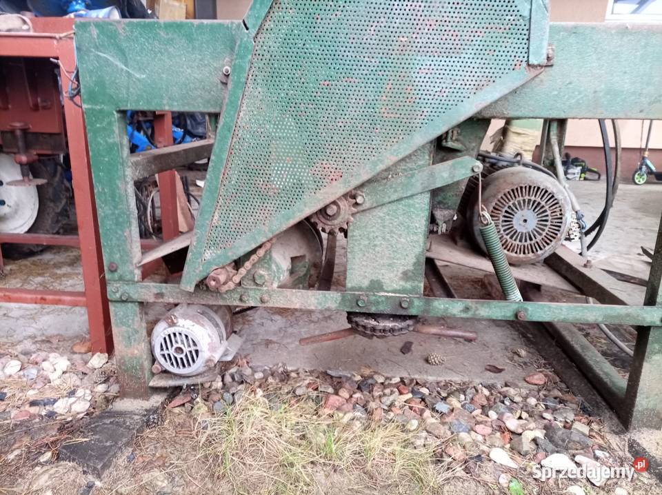 Grubościówka do drewna wielkopolskie