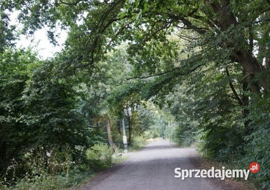 Działka gruntowa w Otwocku Wielkim pałacem 118m mazowieckie Otwock Wielki