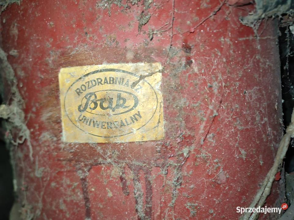 Śrutownik bąk Kłodzko