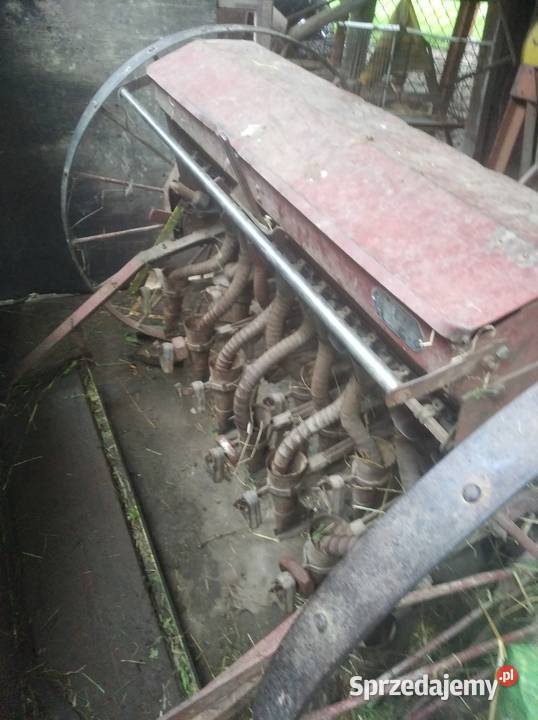 siewnik do zboża grochu bobu Barcice Dolne