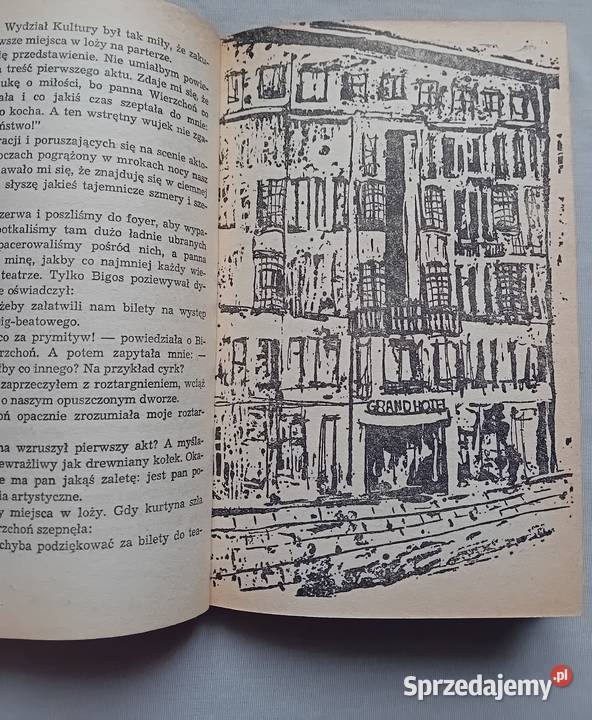 Zbigniew Nienacki Niesamowity dwór Wydawn Koźminek