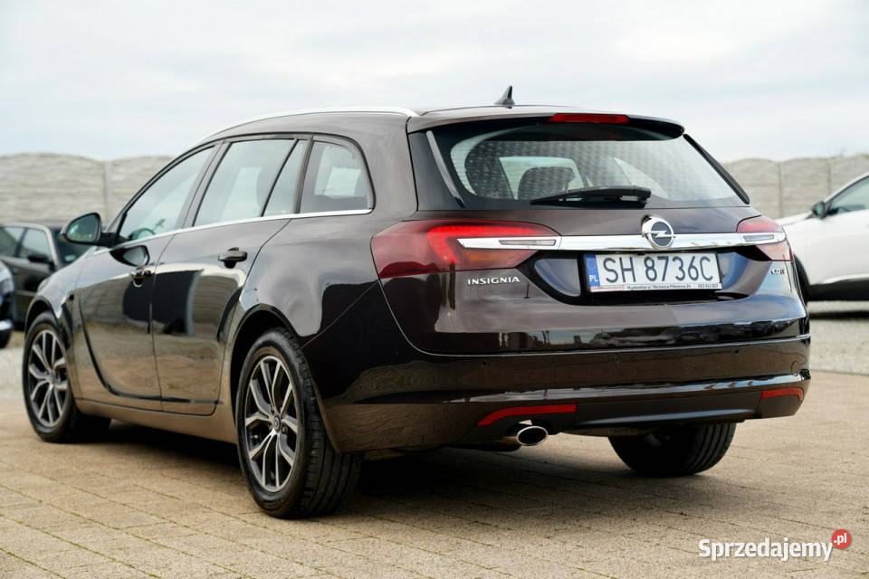 Opel Insignia BIXENON LED nawi kamera parktronik światła LED Otmuchów