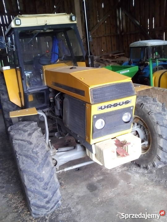 Ursus 1224 bez przeróbek pracuje na 14 ha Pordenowo