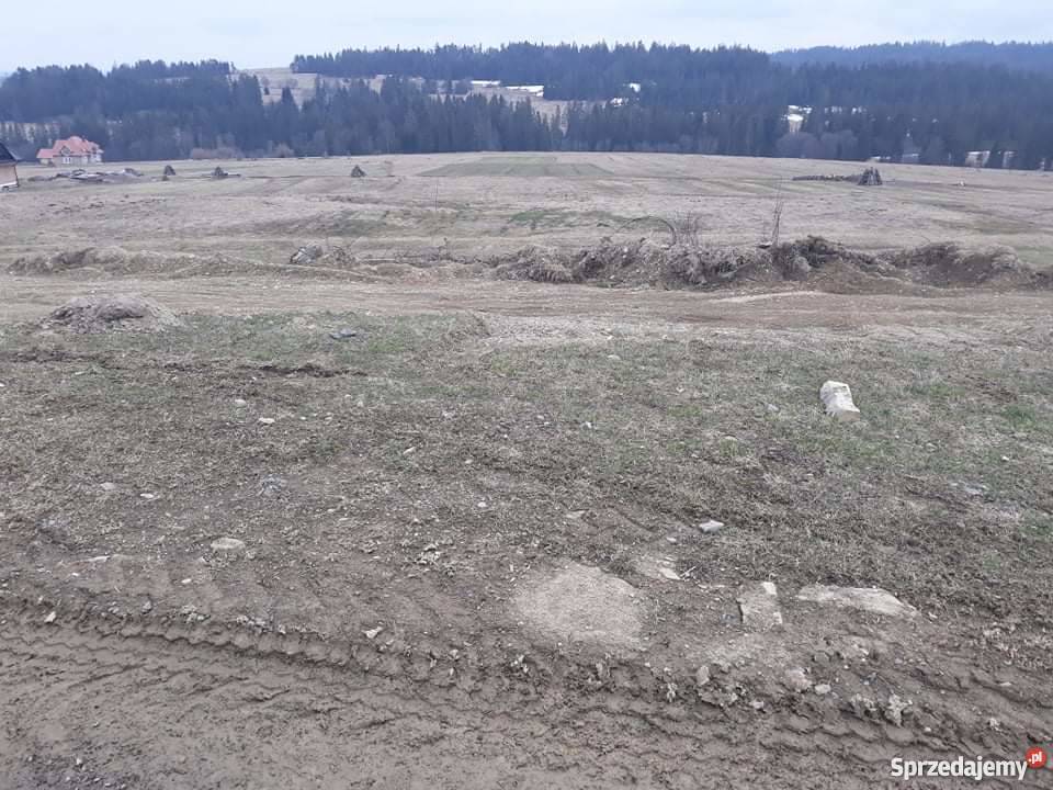 Dzialka Lipnica Wielka Grapa małopolskie