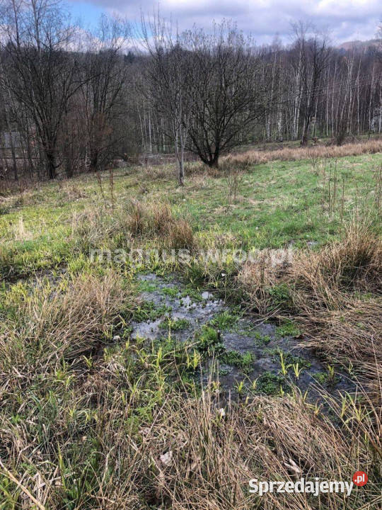 Na sprzedaż duża działka rolna bez mpz w u stóp polna Olszyniec sprzedam