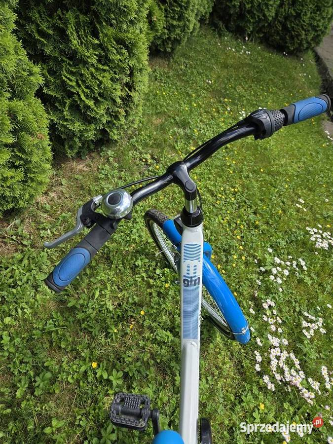 Sprzedam rower dziewczynki 20 Bęsia