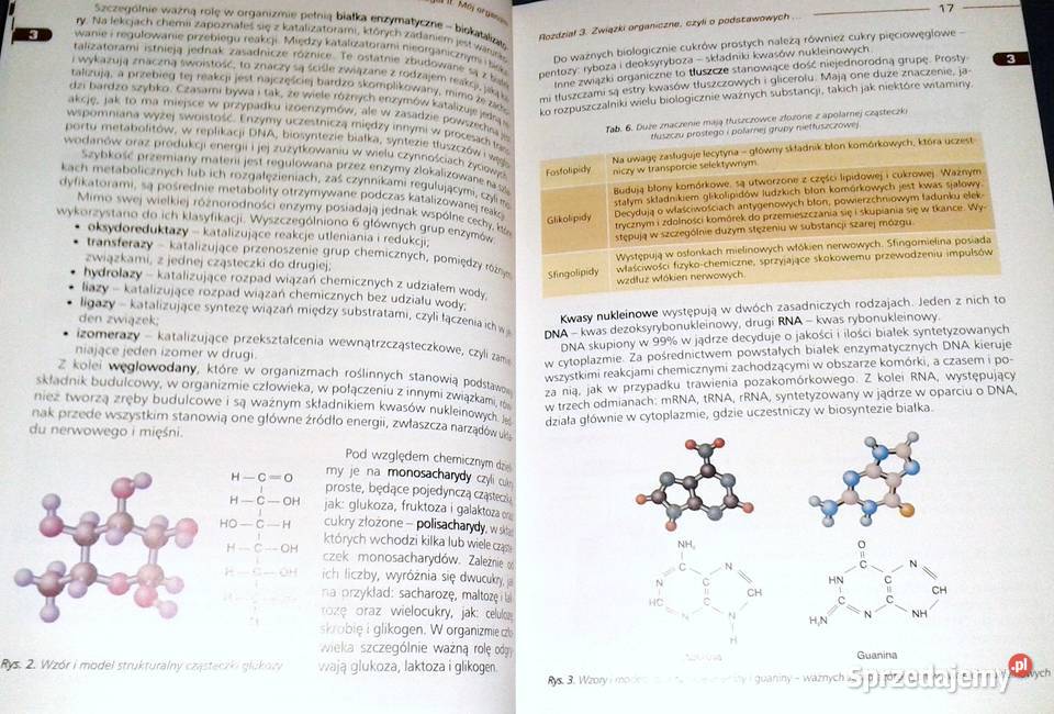 Biologia 2 Mój organizm Podręcznik LO i tech Jan Chełm