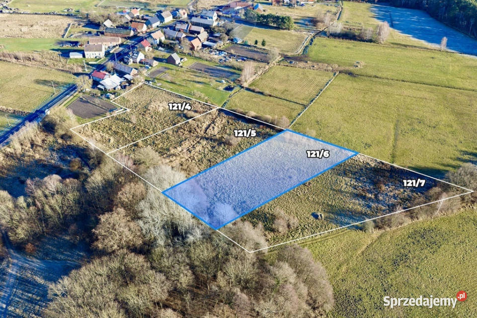 Na sprzedaż działka rolna 4500 m 1216 lubuskie Chełm Żarski sprzedam