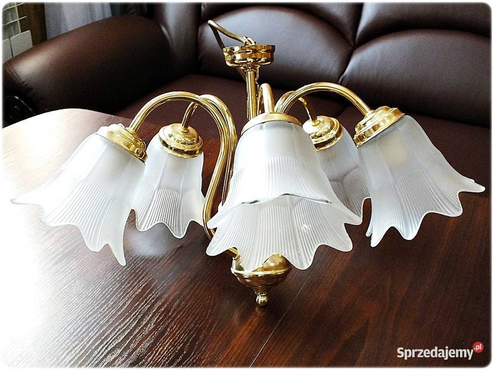 Złoty Żyrandol 5 ramienny Tulipany Lampa wisząca Żary