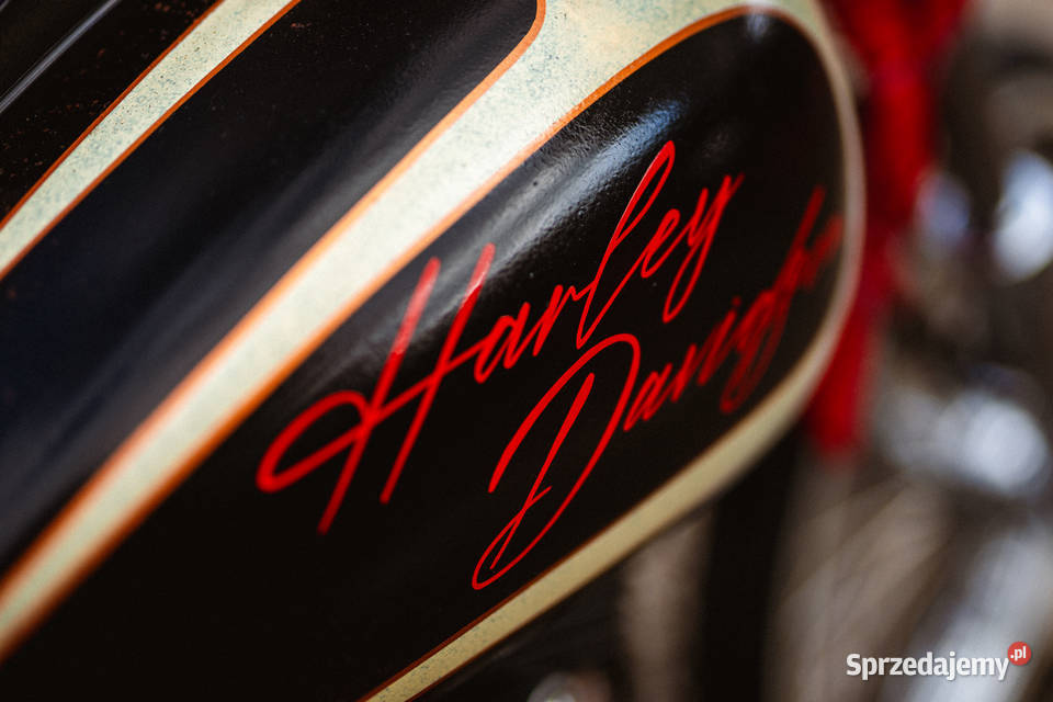 HarleyDavidson Softail Weekend Project Wrocław