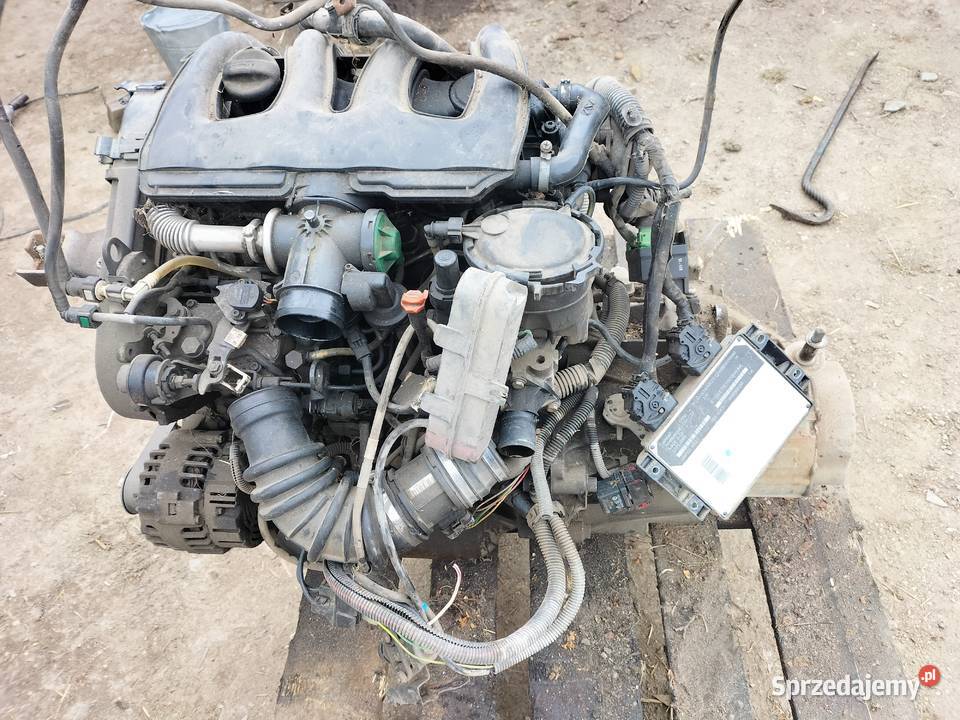 CITROEN C15 19D DIZEL SILNIK SKRZYNIA BIEGÓW Kamień-Kolonia