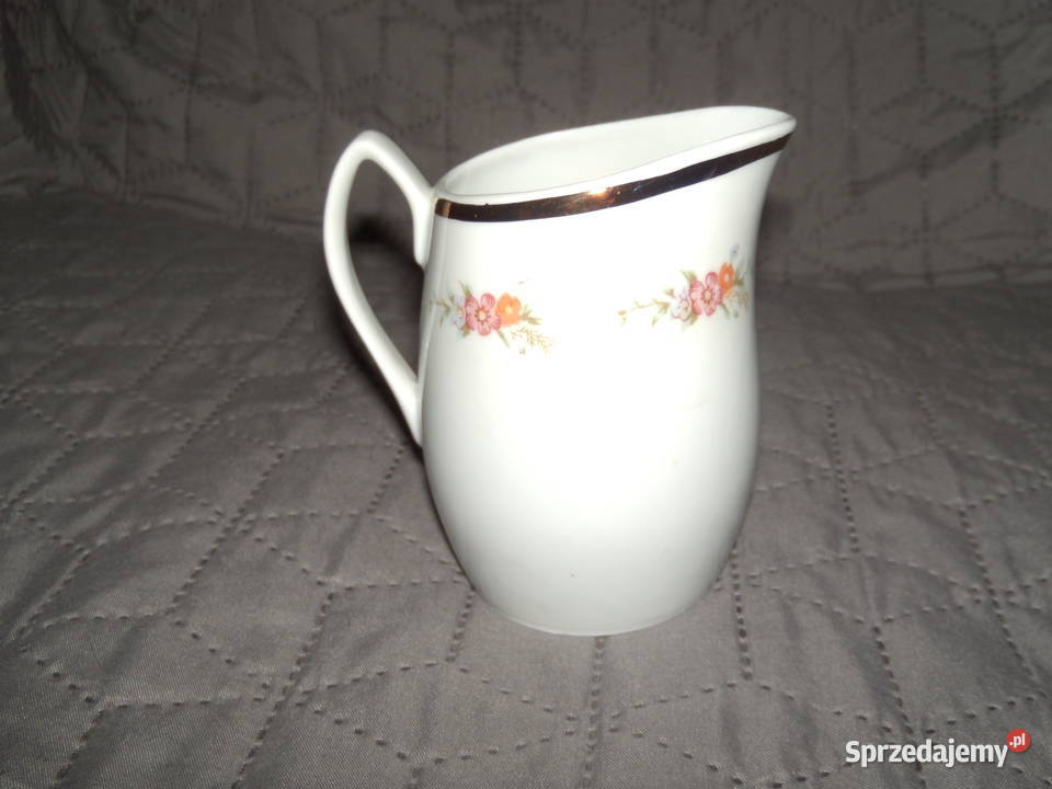 Serwis Aldona Chodzież Warszawa