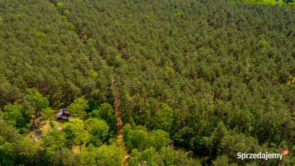 Działka leśna z możliwością zabudowy w MPZP 4461m2 sprzedam