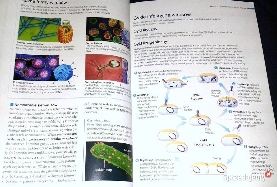 Biologia na czasie 1 Podręcznik Zakres lubelskie Chełm