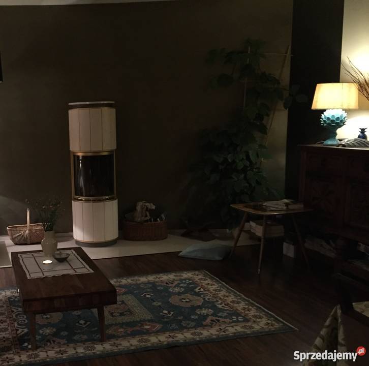 Kominek wolnostojący Spartherm model Piu małopolskie Kraków