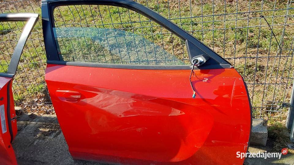 Dodge Charger SRT 2016 drzwi przednie lewe i osobowe Części samochodowe