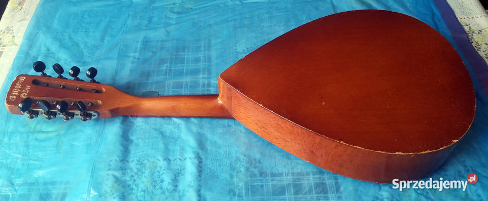 Mandolina warmińsko-mazurskie Ełk