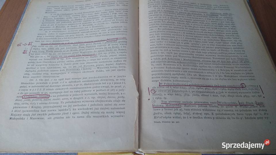 Dialekty języka polskiego Kazimierz Nitsch Gdańsk