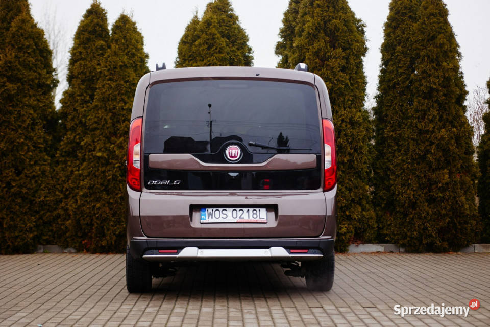 Fiat Doblo II 2009 Rzekuń