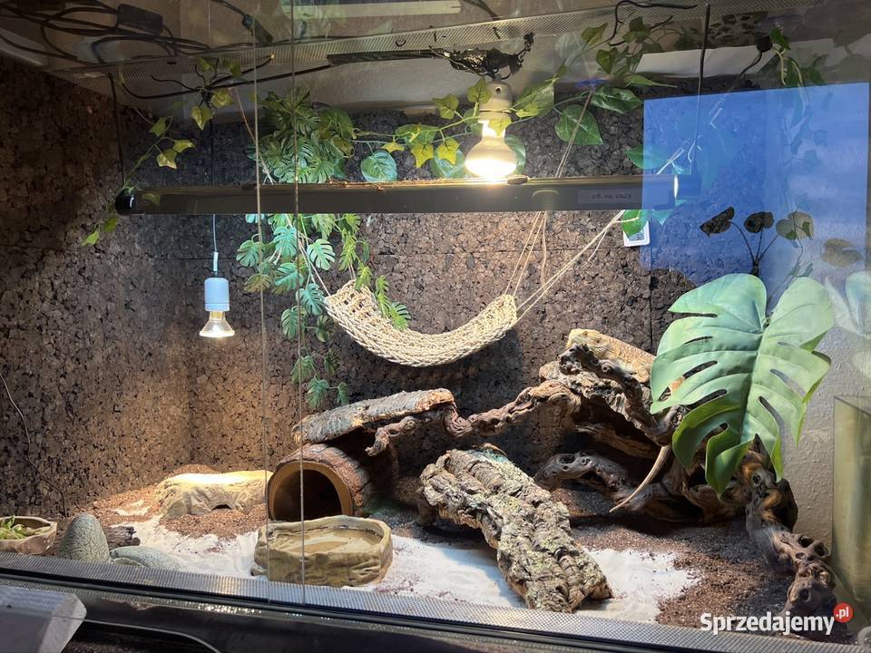 Terrarium 120x80x80 Grube Szkło pomorskie Sopot