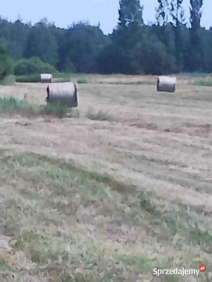 Sprzedam siano z tegorocznych pokosów Busko-Zdrój