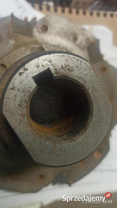 piło rębak do czopiarki Leitz lignum lubuskie Kłodawa