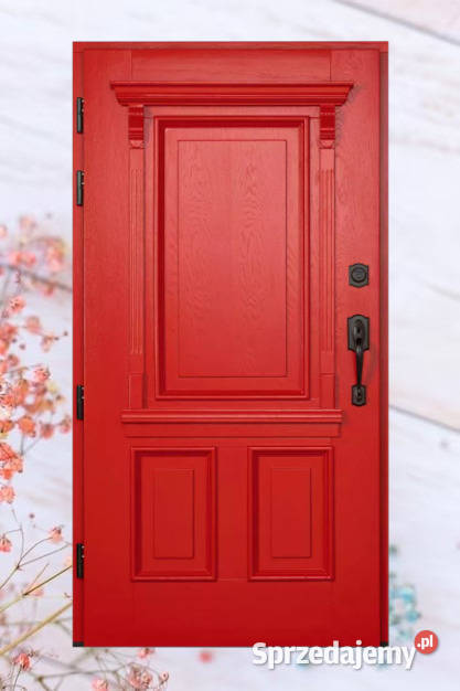 Drzwi Zewnętrzne Wejściowe Drewniane ANGIELSKIE Częstochowa