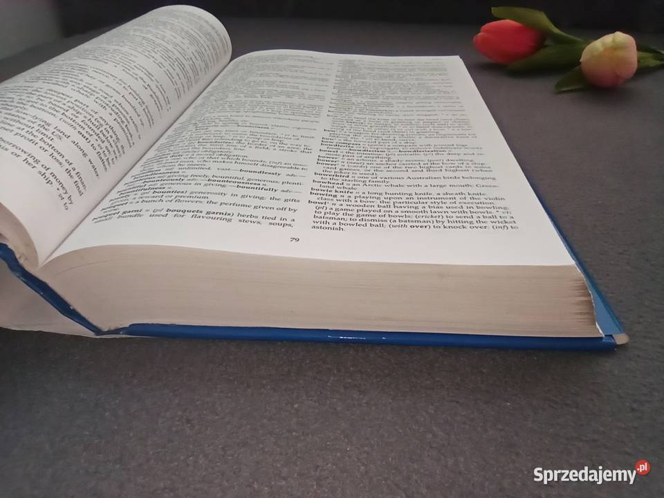 English Dictionary Geddes Grosset Edition Warszawa