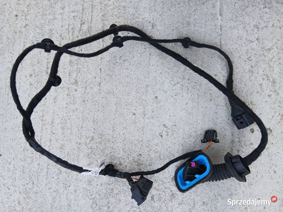 Audi A4 B6 B7 wiązka drzwi tył prawy lewy Szczerbice