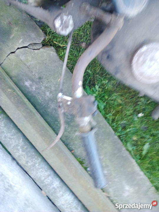 Iz49 Oszczów sprzedam