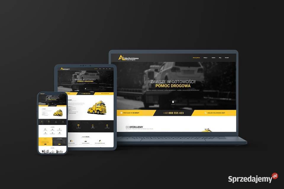 Strona internetowa Twojej 899 Łódź