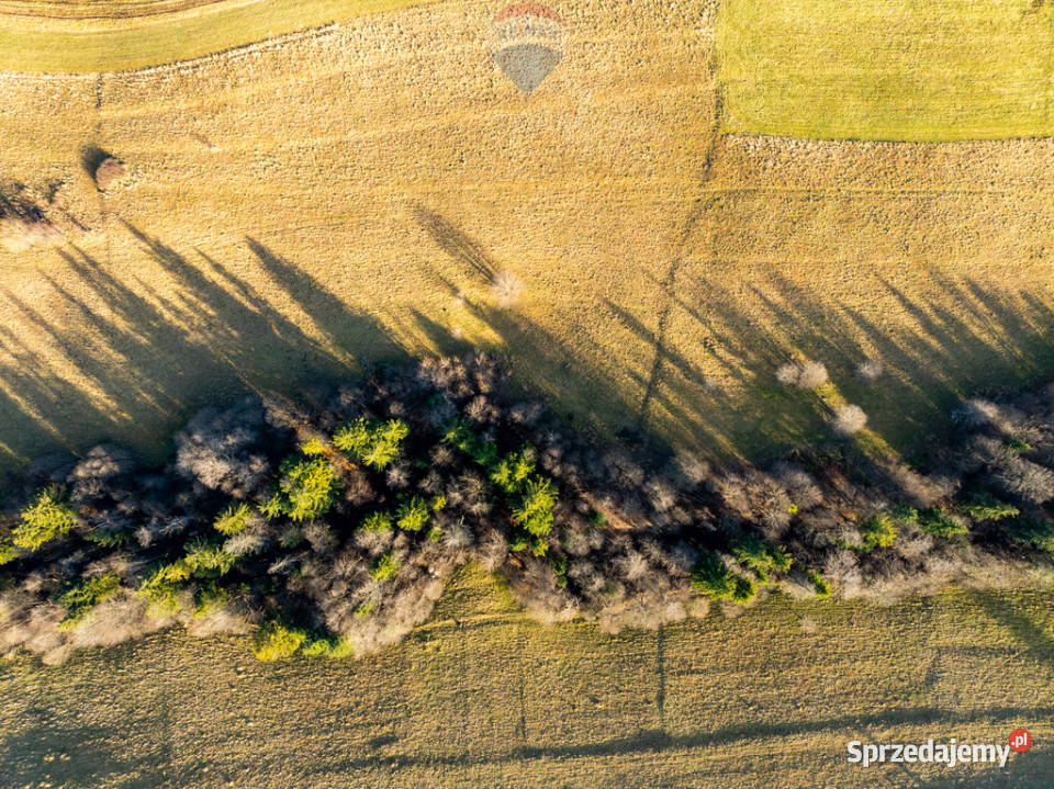 Działka rolna 29ar w Zakopanem Bachledzki Wierch małopolskie Zakopane