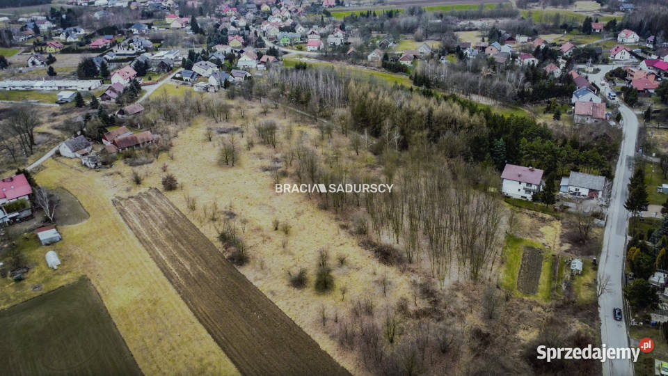 Grunt 7000m2 Wołowice