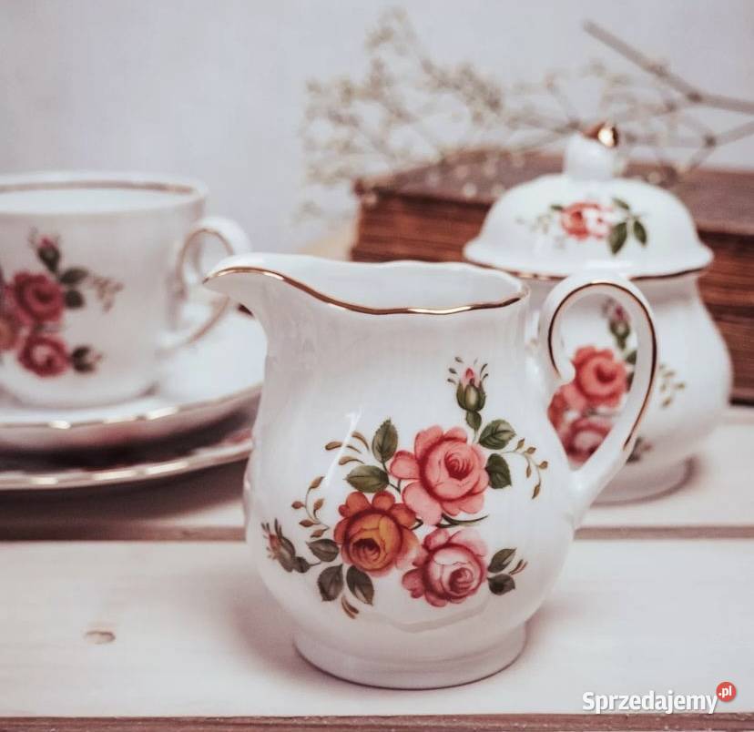 Zestaw 10 sztuk porcelany wielkopolskie Poznań