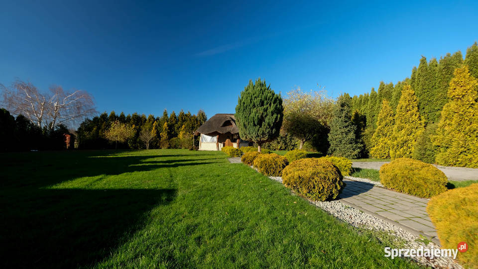 Dom 245 m Magazyny 281 m Pabianic wolnostojący Rydzyny