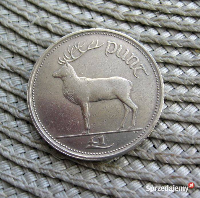 Irlandia 1 Funt 1990r Numizmatyka Kalisz