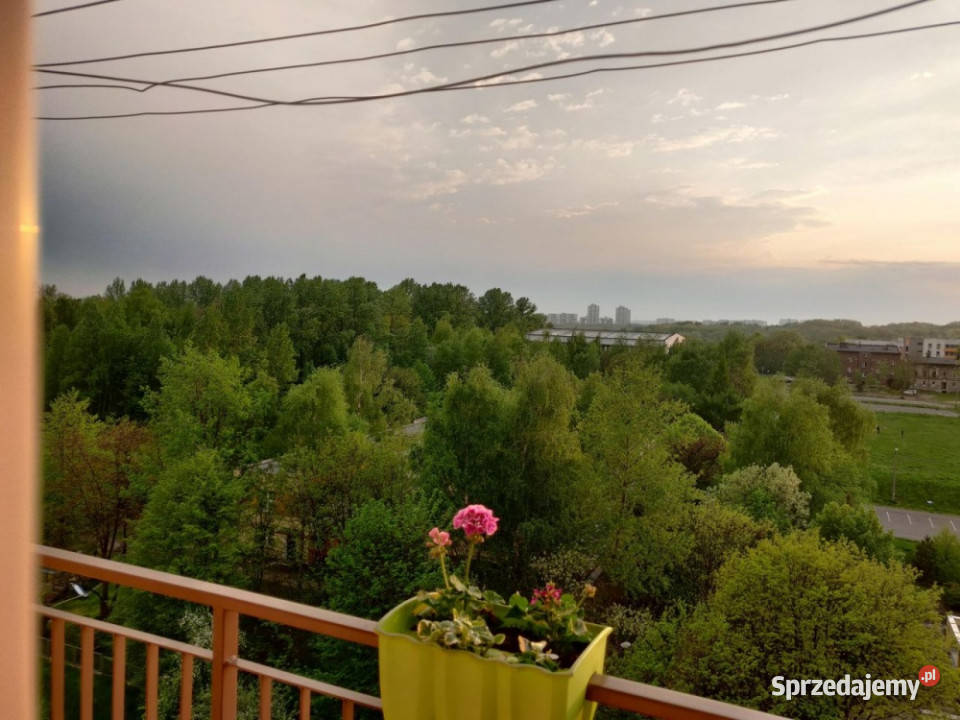 Mieszaknie z widokiem na Park Śląski Katowice