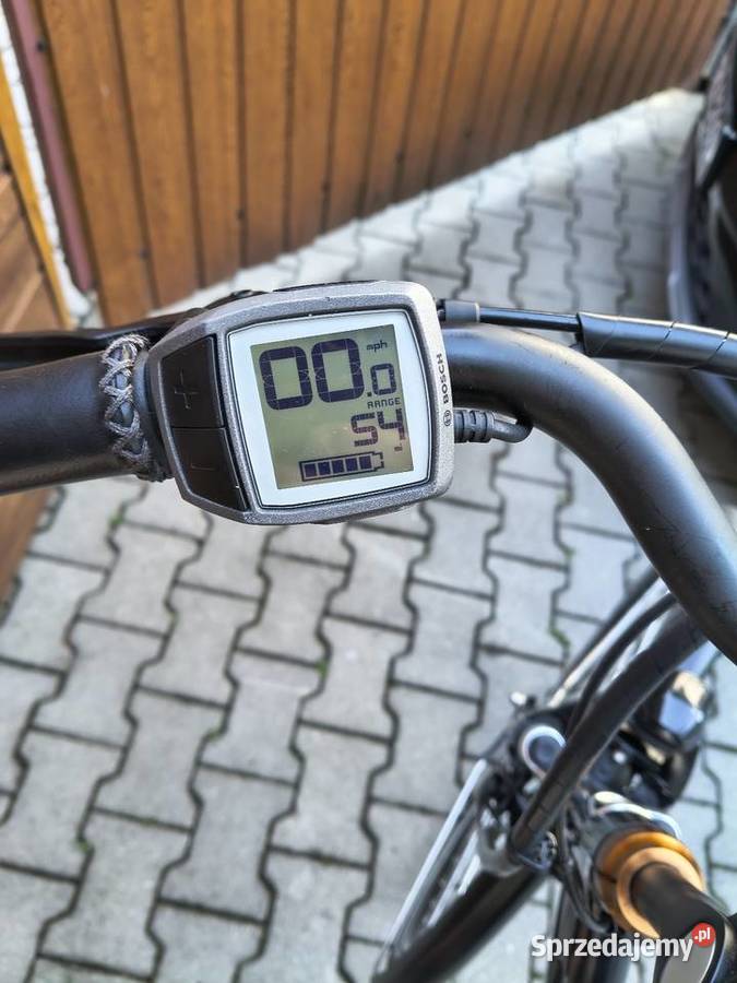 Rower elektryczny marki Batavus posiada Żywiec