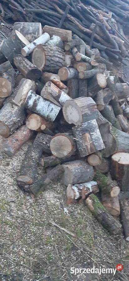 Drewno Opałowe Twarde Dąb Buk Brzoza Grab Liściaste pomorskie Stary Młyn